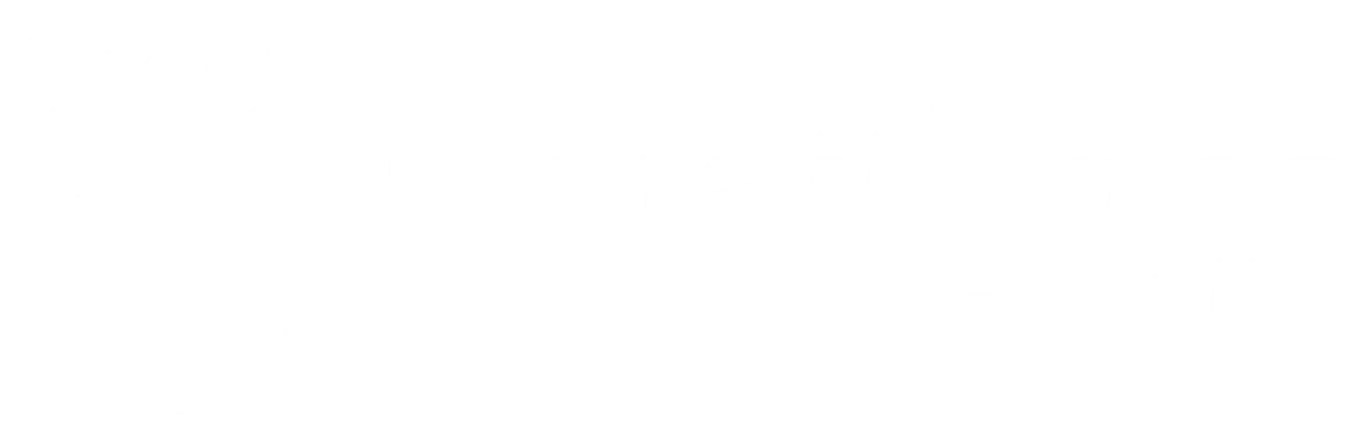 Logo de Detail Zone